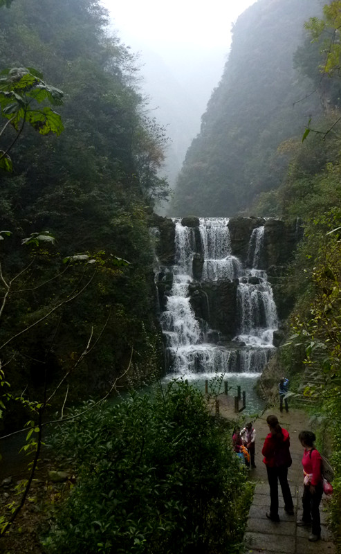 p1090206_.jpg