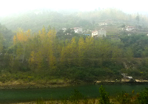 p1090212_.jpg