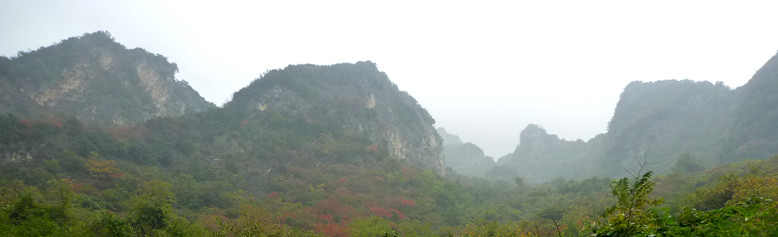 p1090214_.jpg