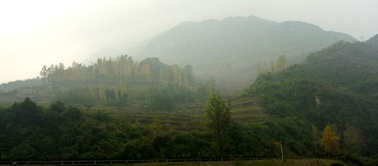 p1090219_.jpg