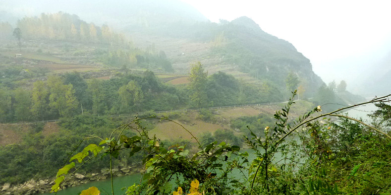 p1090217_.jpg