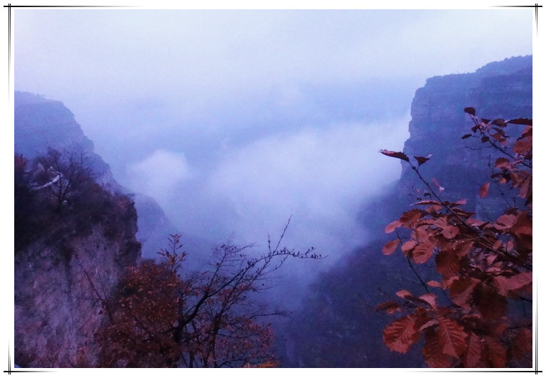 dsc08225_.jpg