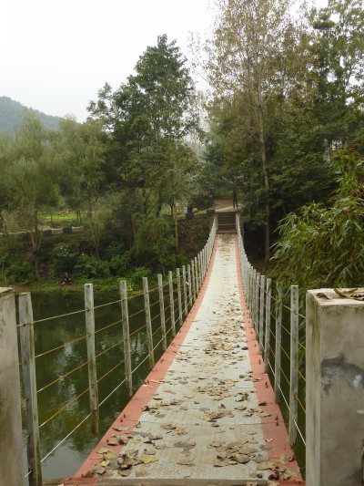 p1030713_conew1.jpg