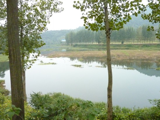 p1030763_conew1.jpg