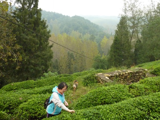 p1030852_conew1.jpg