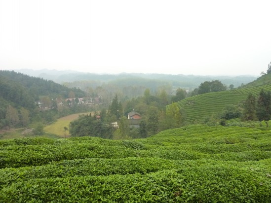 p1030892_conew1.jpg
