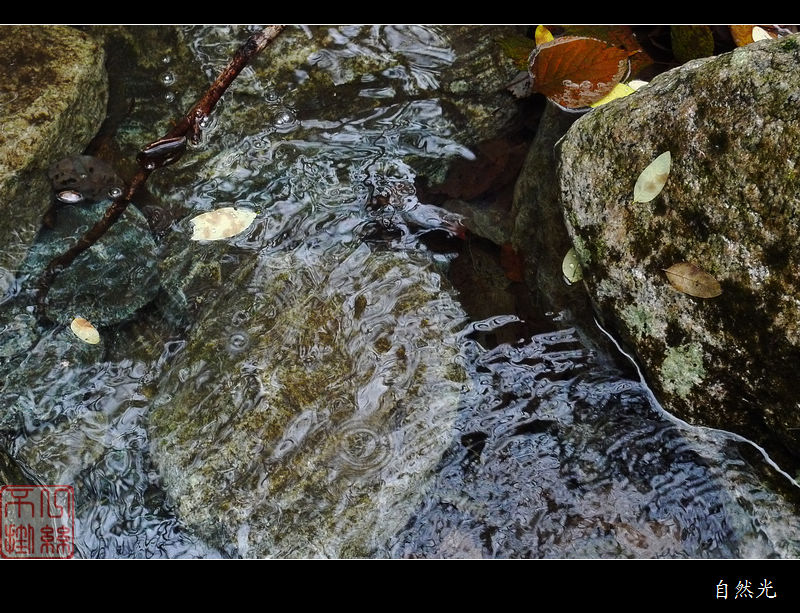 l1250331.jpg