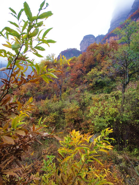 dsc08435.jpg