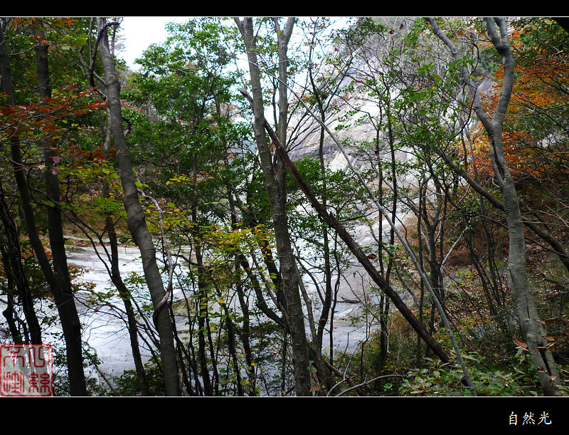 l1250348.jpg