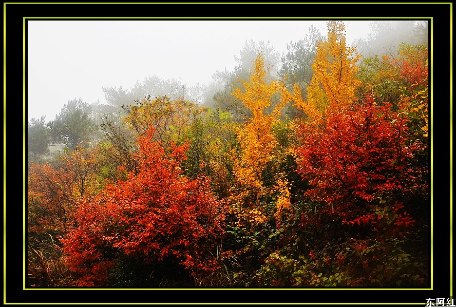 dsc_1903-.jpg