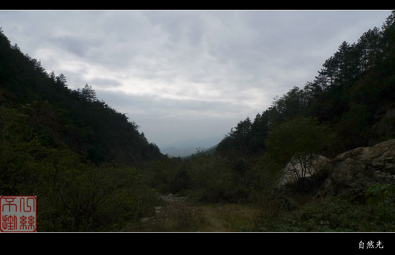 l1250364.jpg