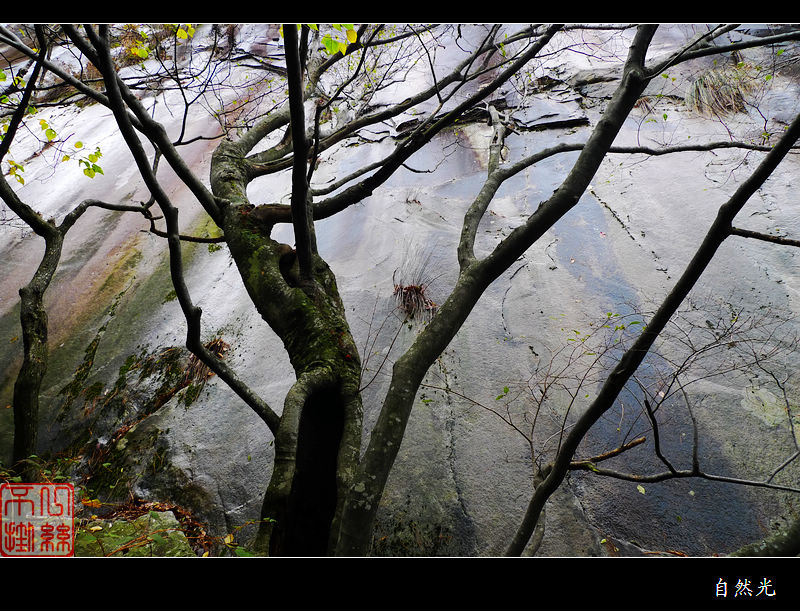l1250276.jpg