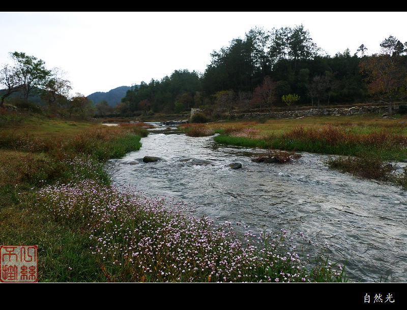 l1250370.jpg
