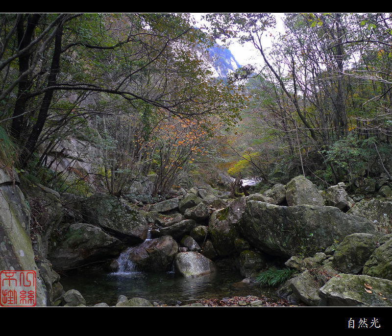 l1250305.jpg