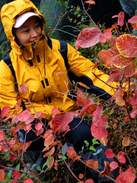 dsc08070.jpg