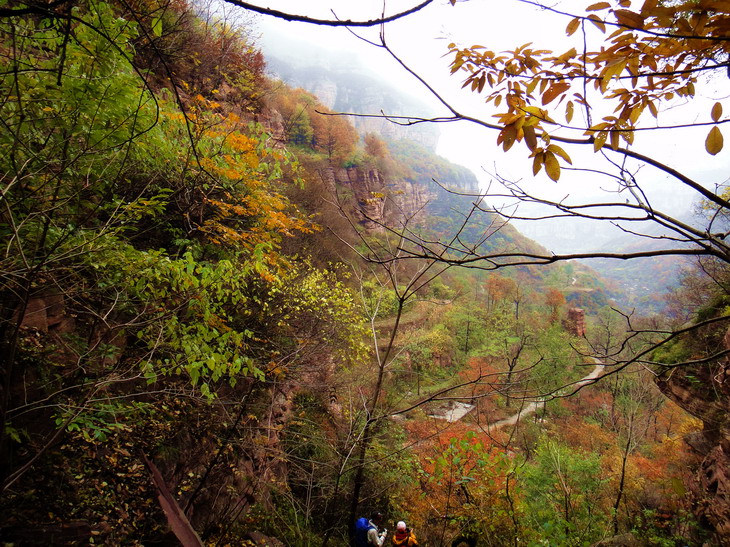 dsc08512.jpg