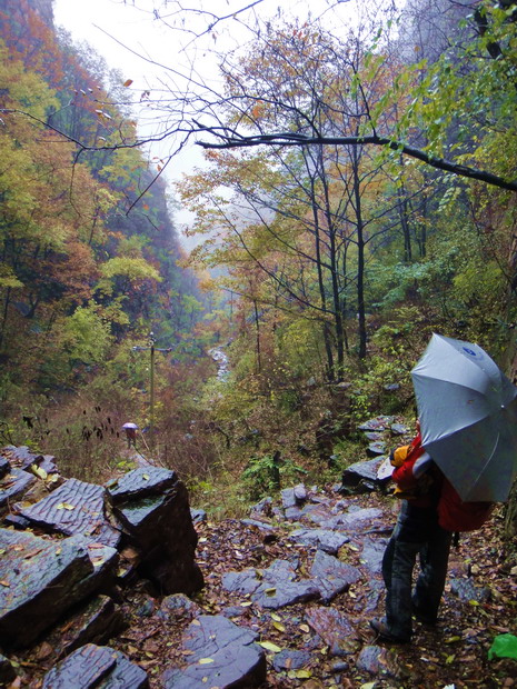 dsc08193.jpg