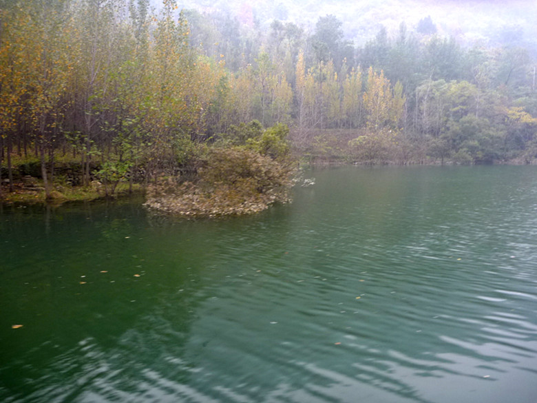p1090451_.jpg