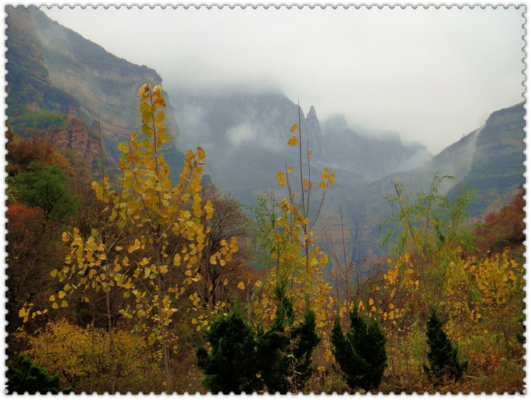 dsc08558_.jpg