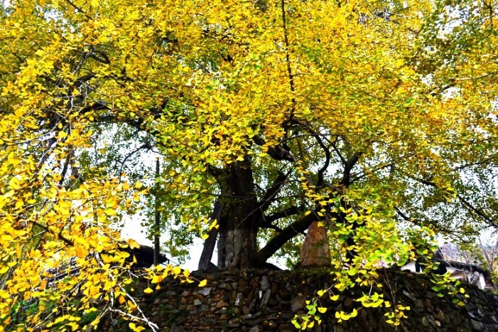 dsc_9317_conew3.jpg