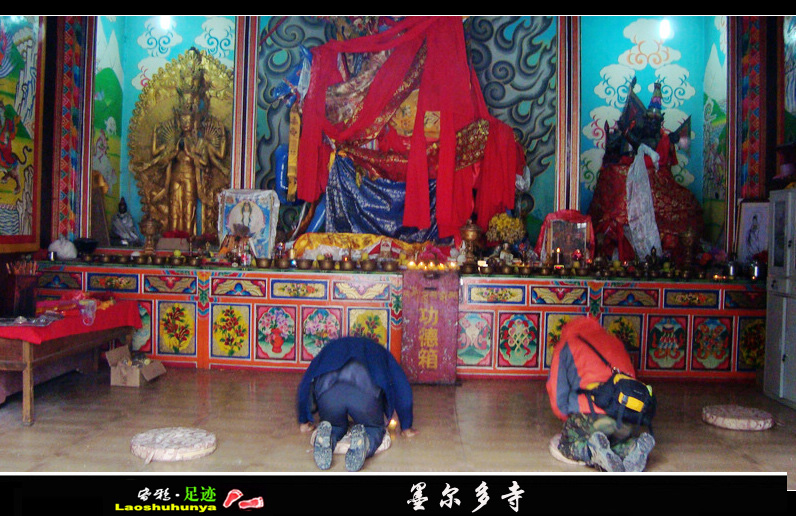 dsc07561.jpg