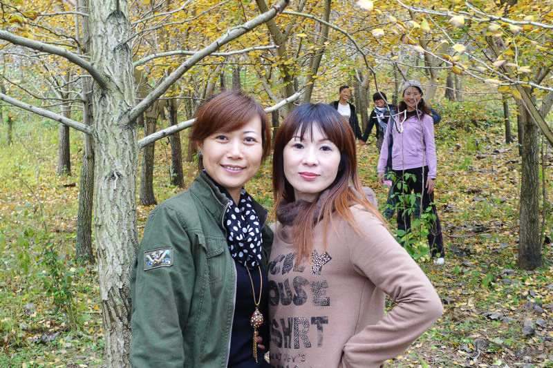 p1040839.jpg