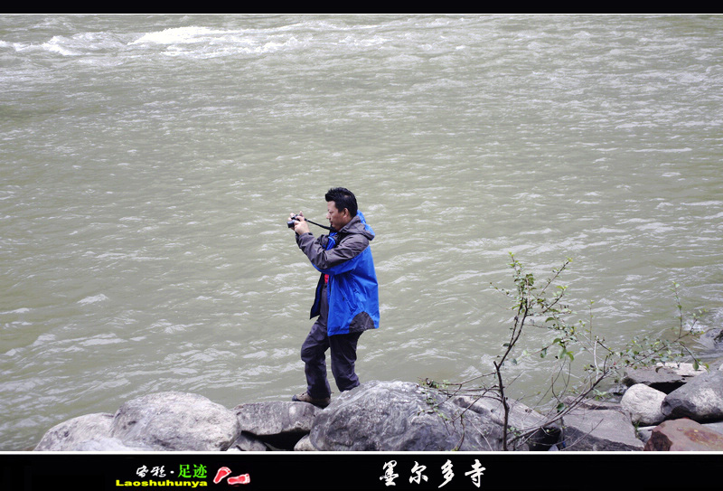 _igp6156.jpg