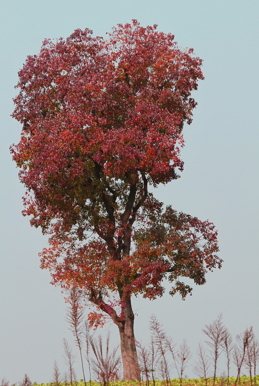 z7.jpg