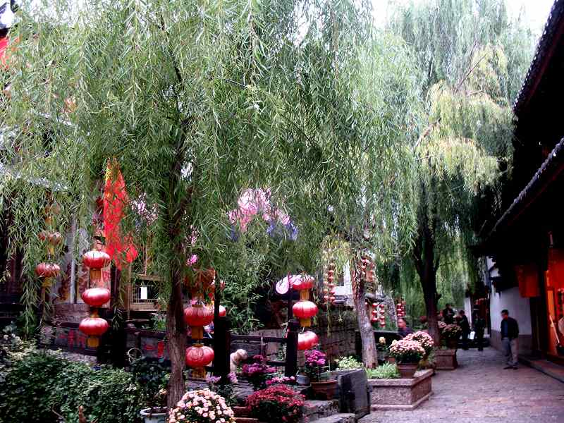 糿 (2).jpg