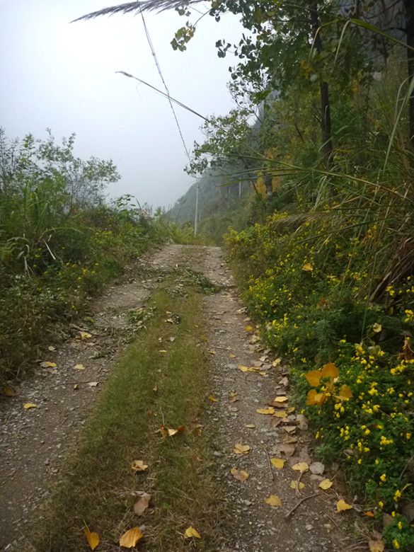 p1090236_.jpg