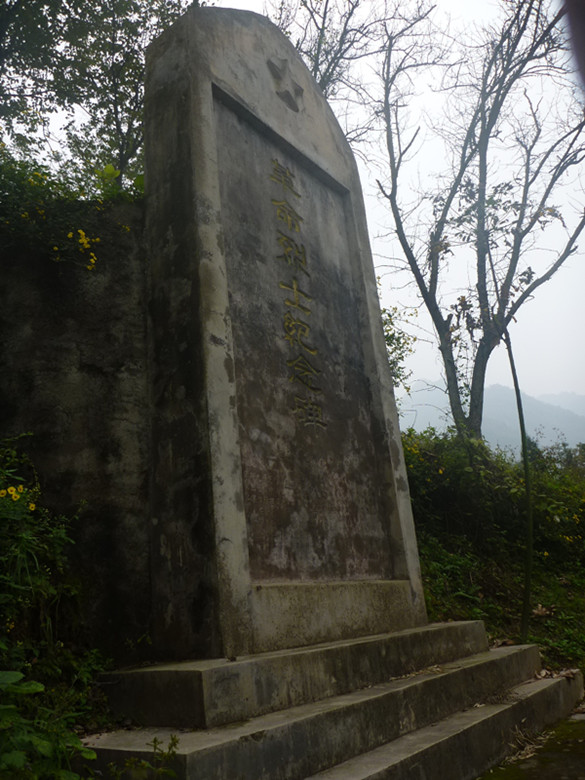 p1090341_.jpg
