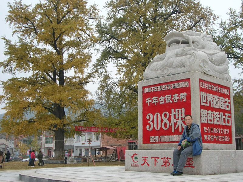 dscn3437.jpg