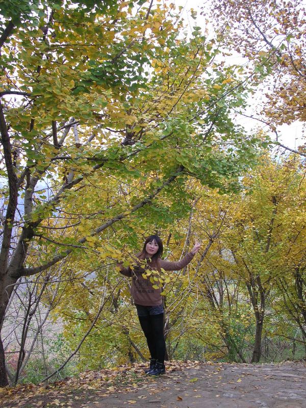 dscn3355.jpg