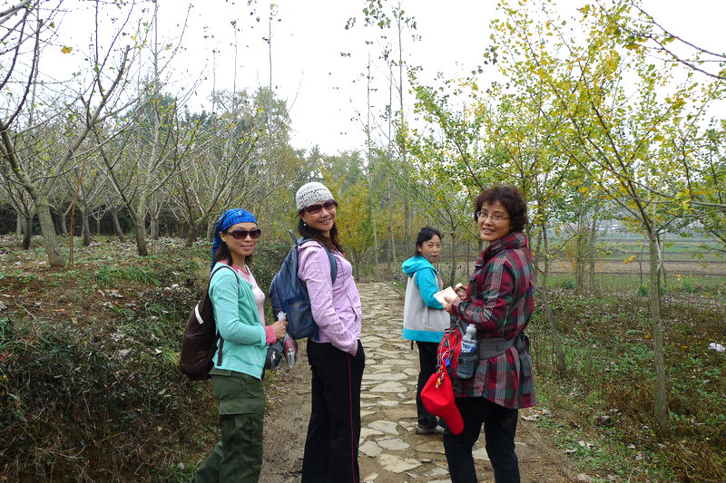 p1040863.jpg