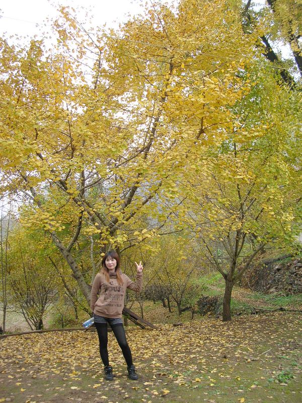 dscn3351.jpg