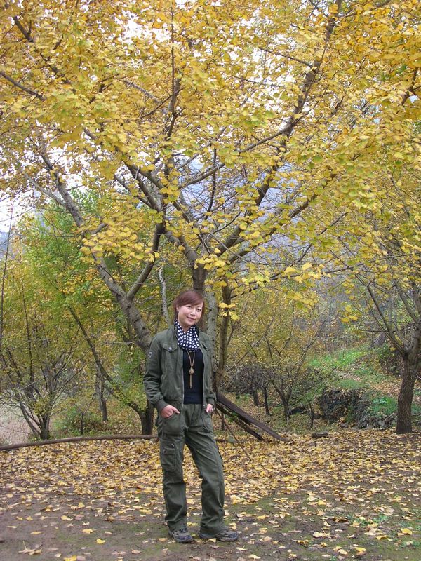dscn3352.jpg