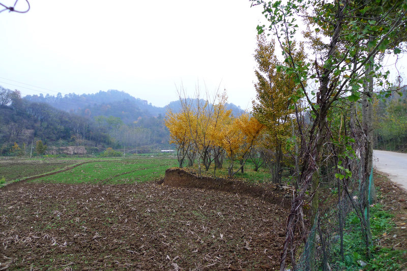 p1040895.jpg