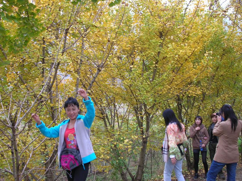 dscn3349.jpg