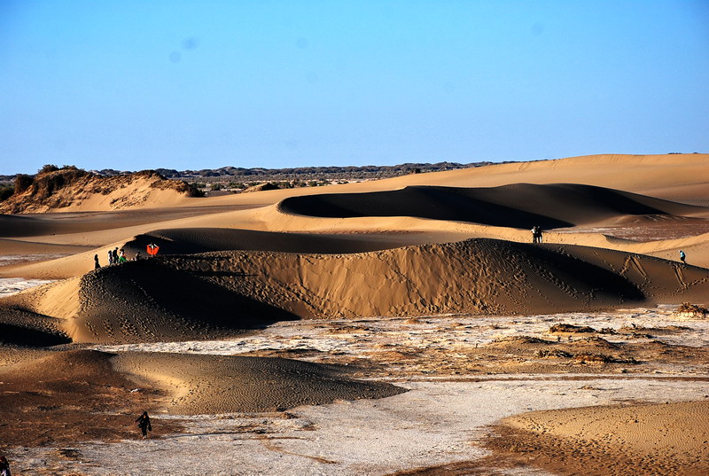 dsc_0506.jpg