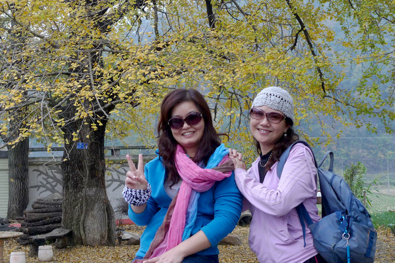 p1040884.jpg