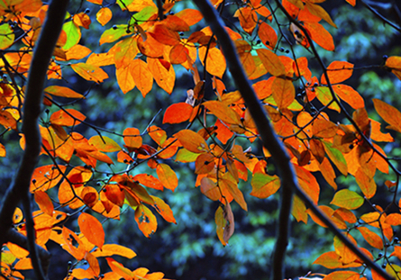 Ҷ20111029 027_.jpg
