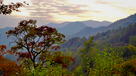 Ҷ20111029 518_.jpg