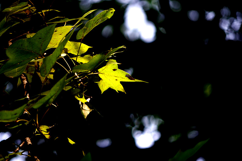 imgp5905_副本.jpg