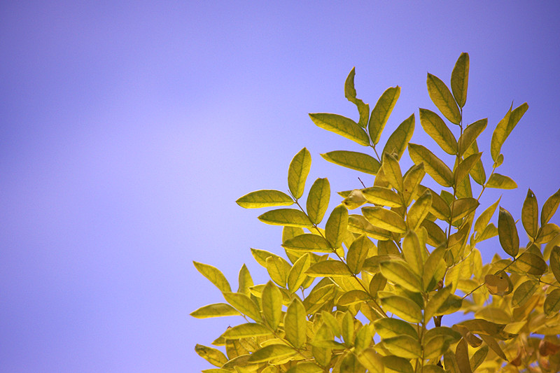 imgp7560_.jpg