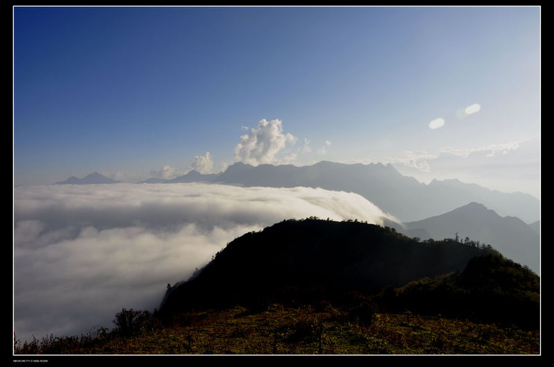 _dsc0917ƺ.jpg