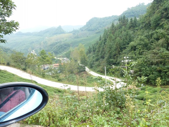 p1040069_conew1.jpg
