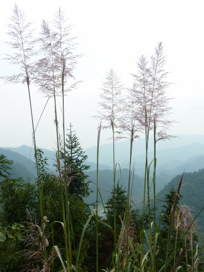 p1030938_conew1.jpg