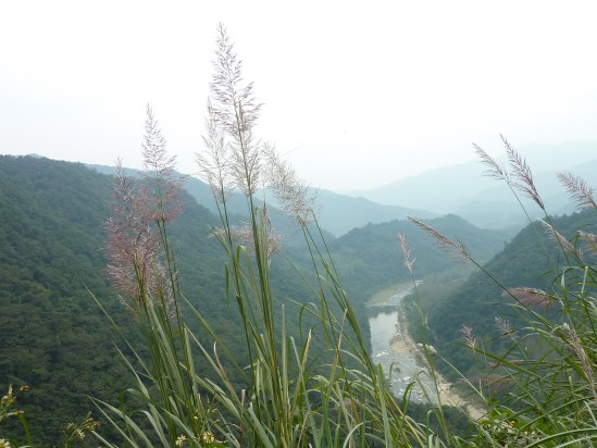 p1030945_conew1.jpg