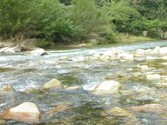 p1040021_conew1.jpg