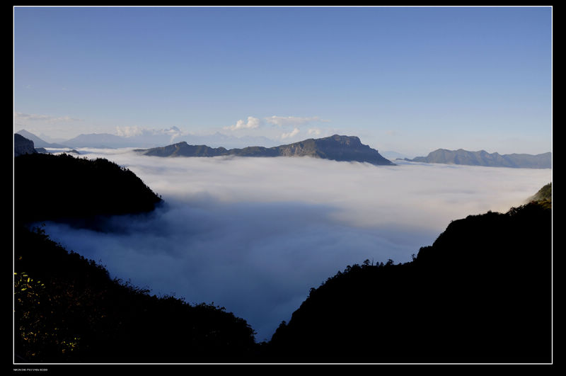 _dsc0931ƺ.jpg